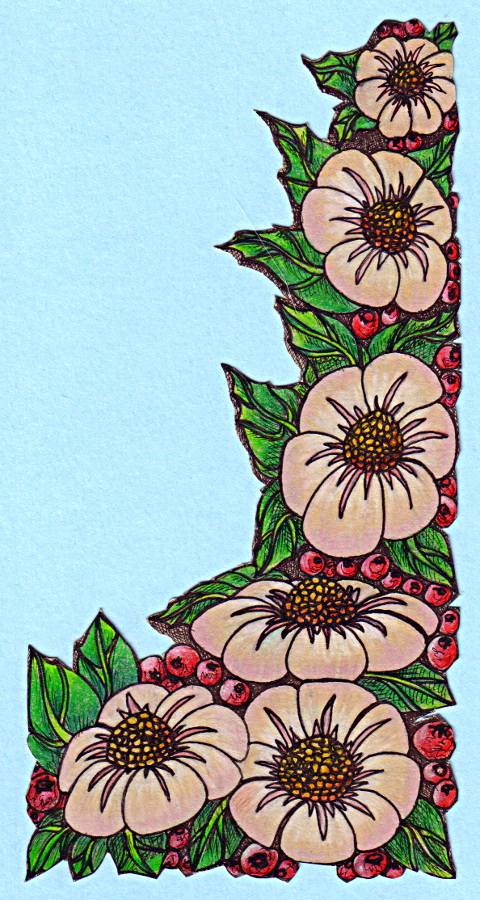 Flowers 14Aug12 © Angela Porter 2012