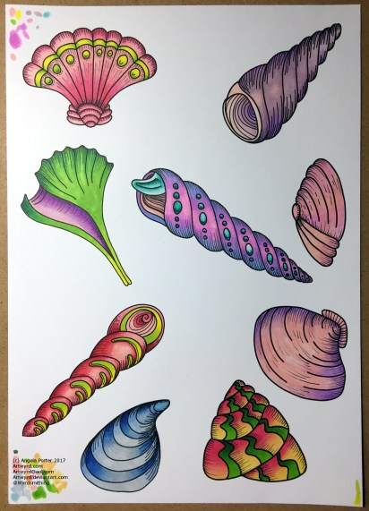 AngelaPorter_6June_2017_ColouredShells